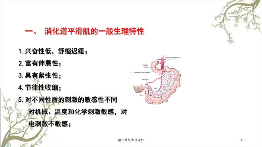 消化系统生理课件.ppt_第3页