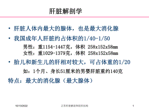 正常肝脏解剖和组织结构培训课件.ppt