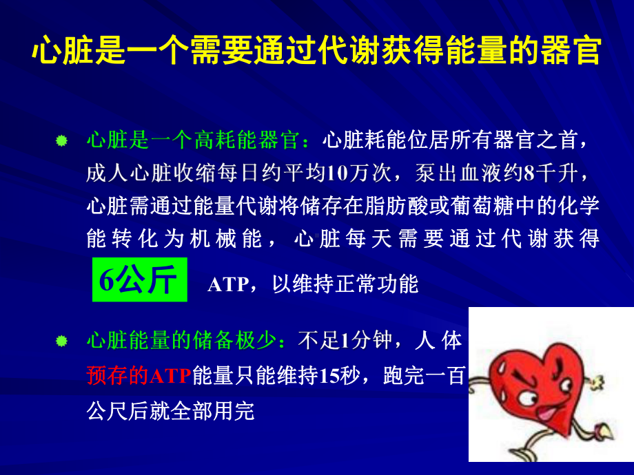 正常心肌的能量代谢说课讲解课件.ppt_第3页