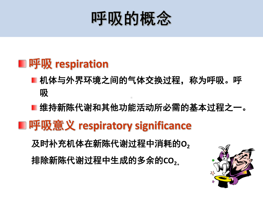 生理学呼吸系统培训课件.ppt_第3页