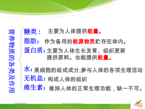 消化系统和呼吸系统培训课件.ppt