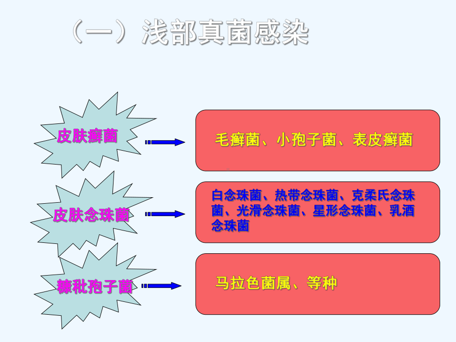 深部真菌病的研究进展1课件.ppt_第2页