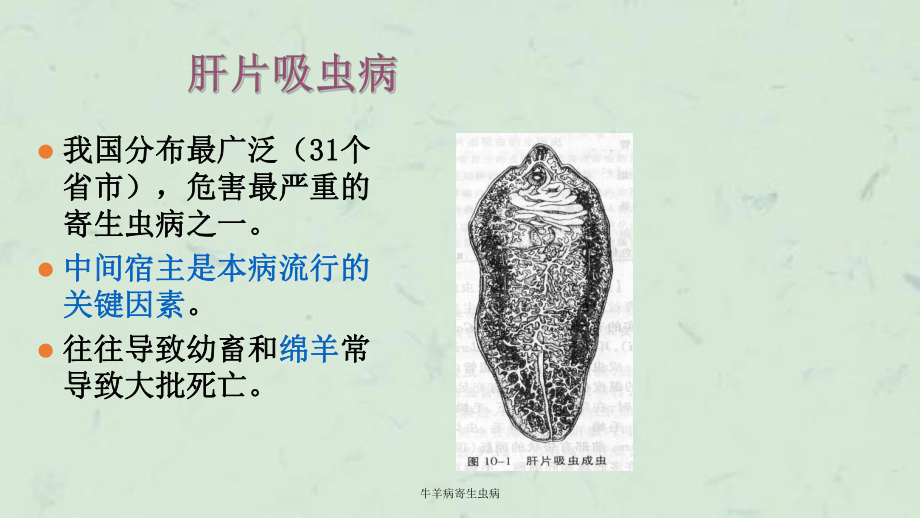 牛羊病寄生虫病课件.ppt_第3页