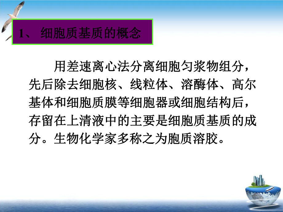 电子科大细胞生物学第七章真核细胞内膜系统蛋白质分选与膜泡运输课件-2.ppt_第3页