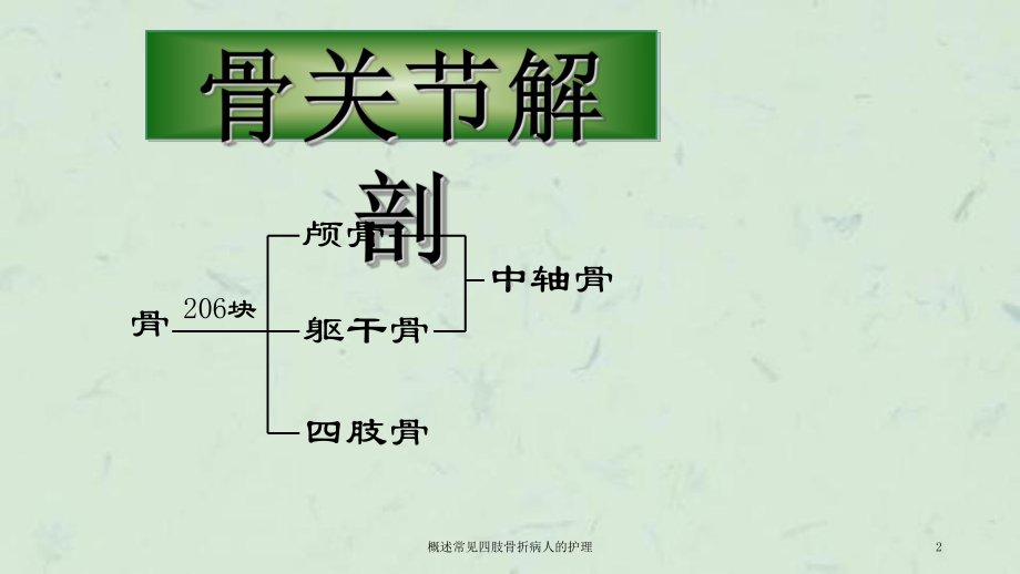 概述常见四肢骨折病人的护理课件.ppt_第2页