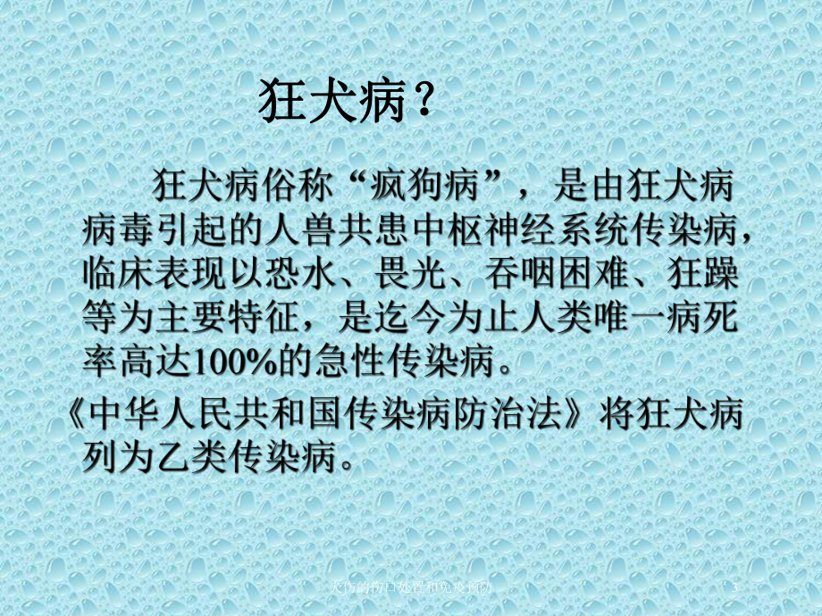 犬伤的伤口处置和免疫预防培训课件.ppt_第3页