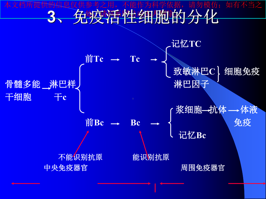 淋巴结图示专题知识宣教培训课件.ppt_第3页