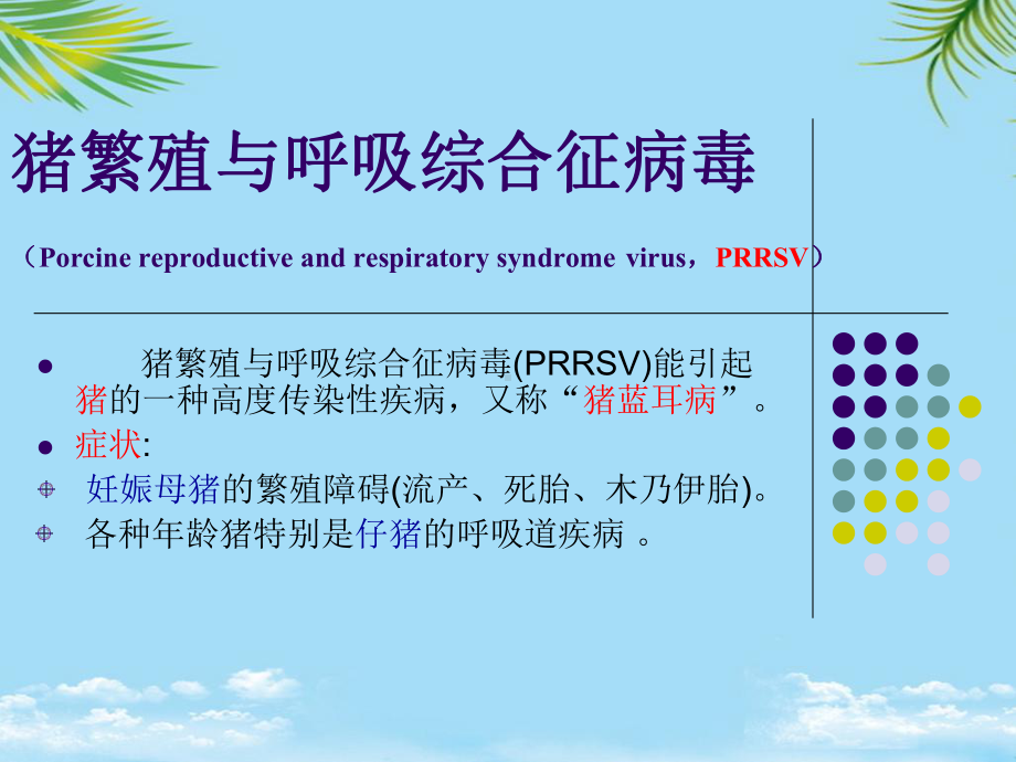 猪繁殖与呼吸综合征病毒课件.ppt_第1页