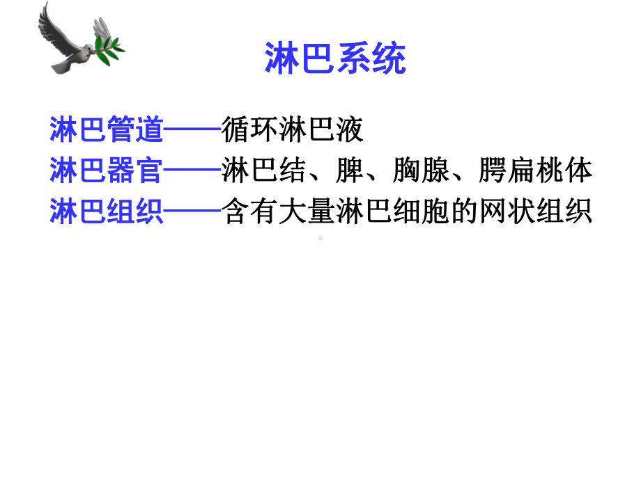 淋巴内分泌系统课件.pptx_第1页