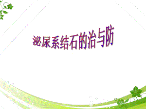 泌尿系结石的健康教育-课件.ppt