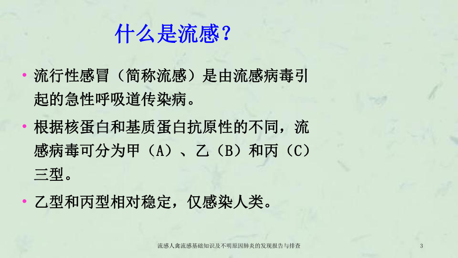 流感人禽流感基础知识及不明原因肺炎的发现报告与排查课件.ppt_第3页