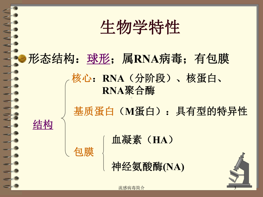 流感病毒简介培训课件.ppt_第3页