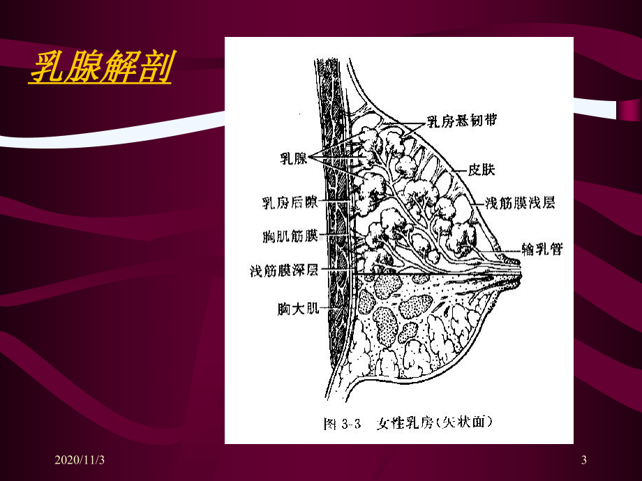 浅析乳腺影像学诊断课件.ppt_第3页