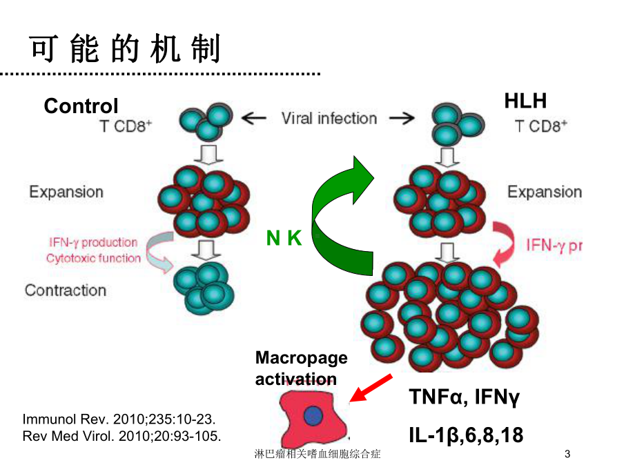 淋巴瘤相关嗜血细胞综合症培训课件.ppt_第3页