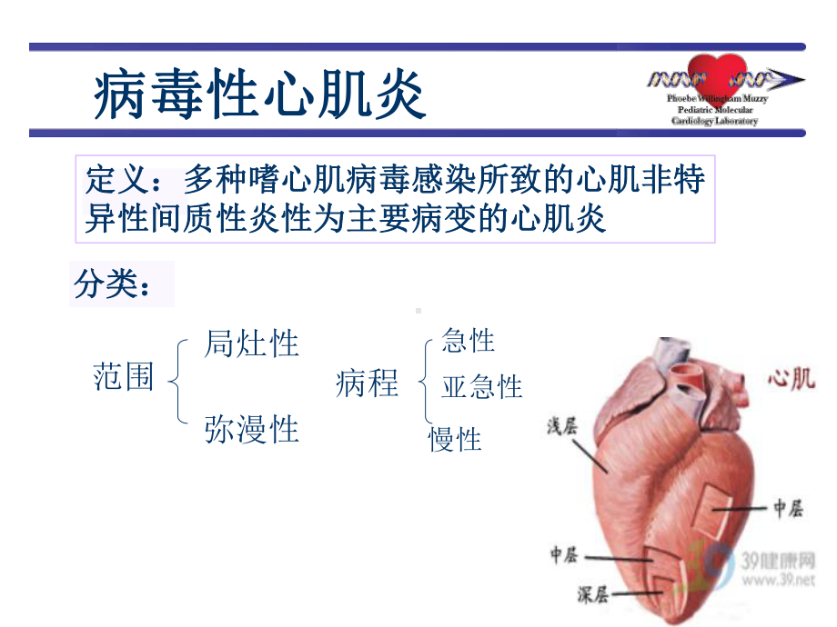 病毒性心肌炎新课件.ppt_第2页