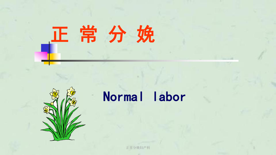 正常分娩妇产科课件.ppt_第1页