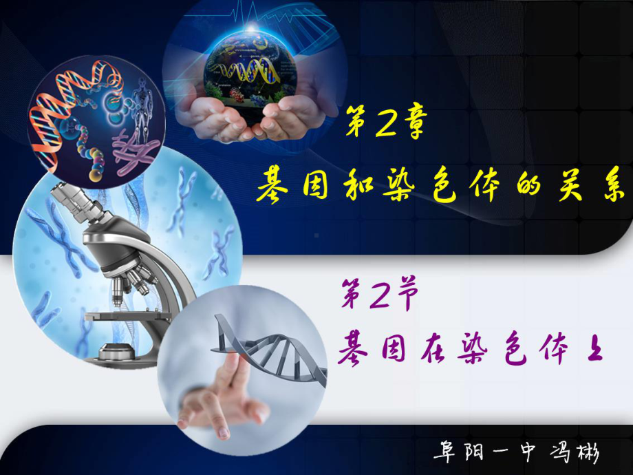 生物优质课课件-基因在染色体上.ppt_第2页