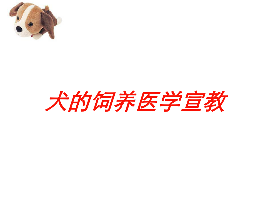 犬的饲养医学宣教培训课件.ppt_第1页