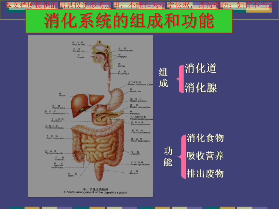 消化系统常见疾病讲解培训课件.ppt_第1页