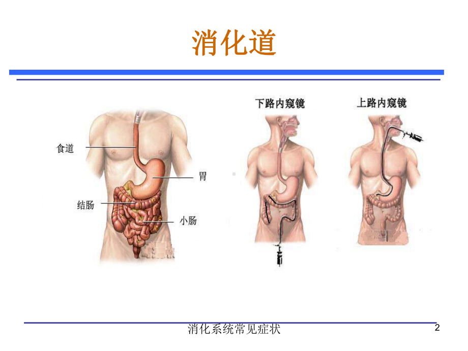 消化系统常见症状培训课件.ppt_第2页