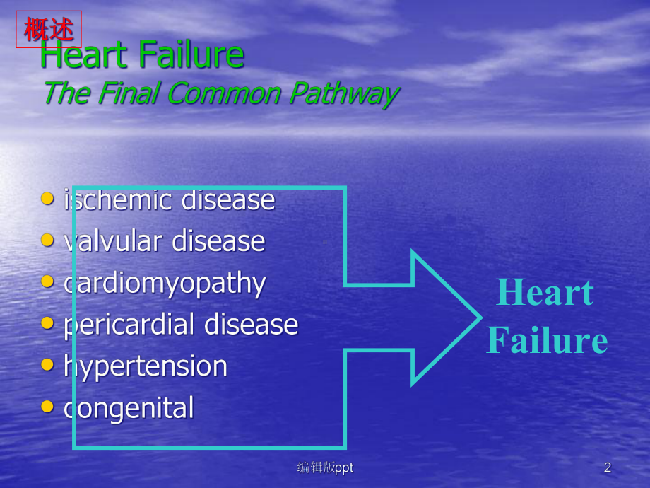 病理生理心力衰竭课件.ppt_第2页