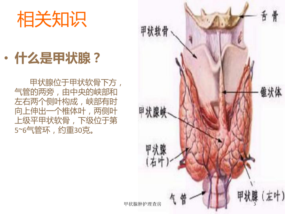 甲状腺肿护理查房培训课件.ppt_第3页