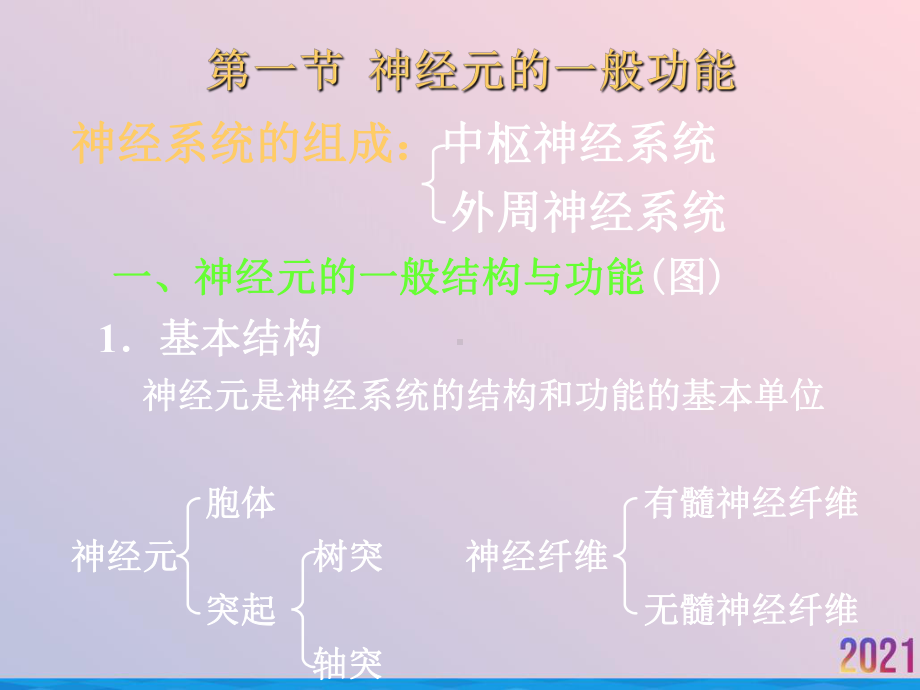 生理学第十章神经系统的功能课件.ppt_第2页