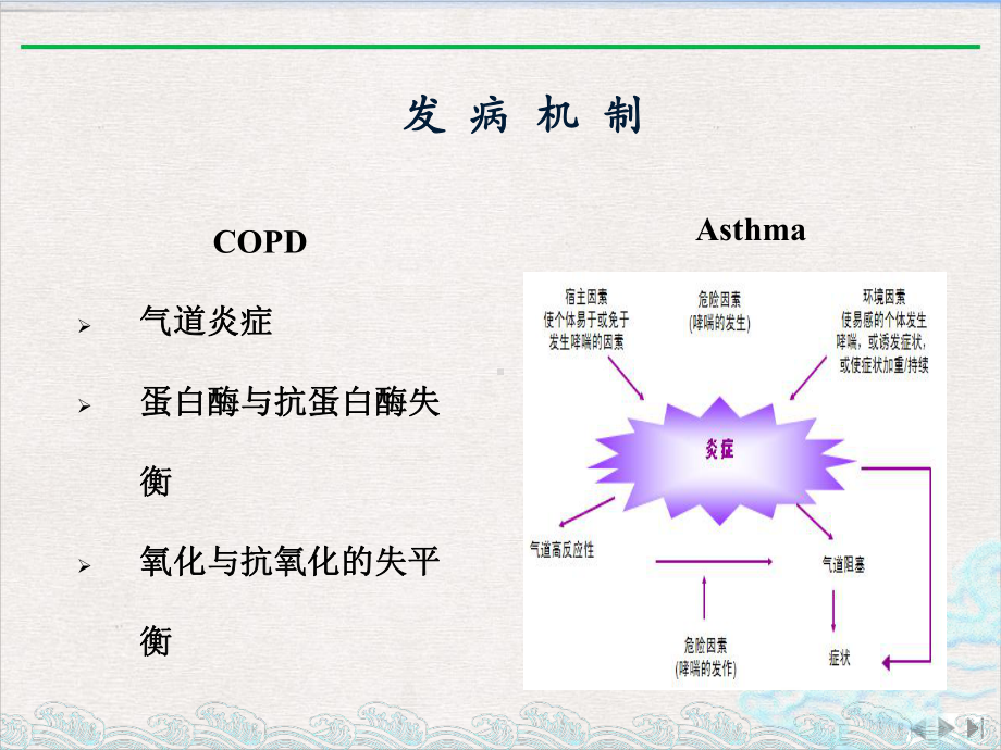 气道慢性炎症性疾病完整版课件.pptx_第3页