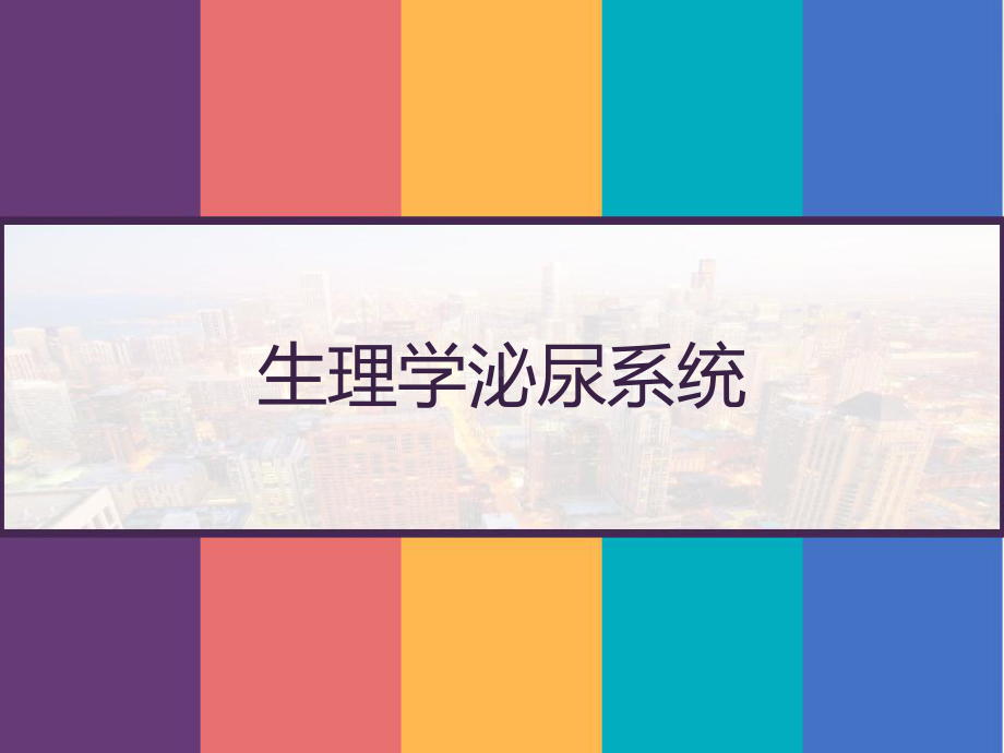 生理学泌尿系统-课件.pptx_第1页