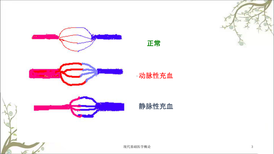 现代基础医学概论课件.ppt_第3页