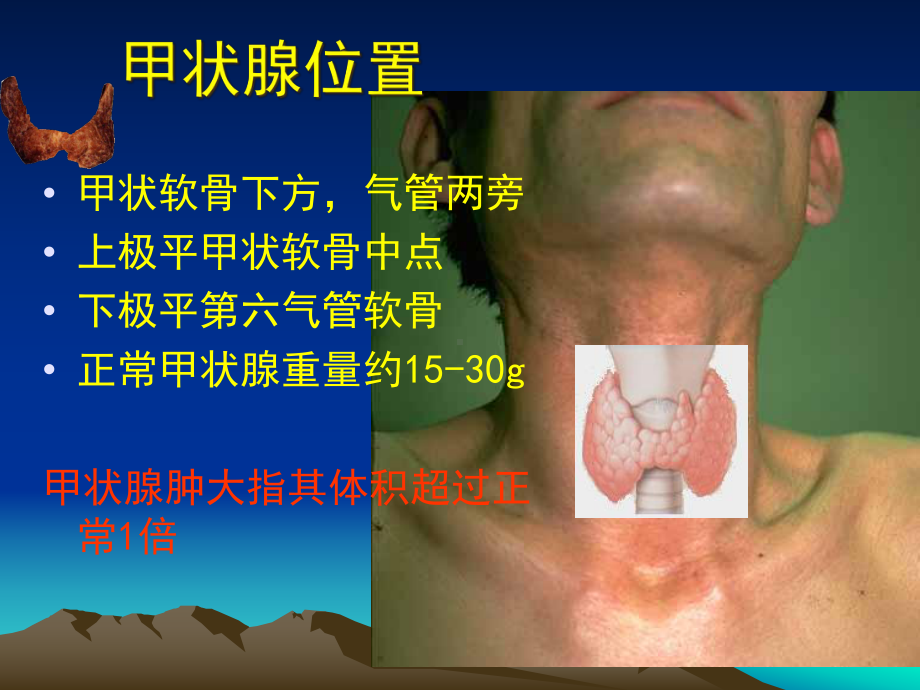 甲状腺解剖生理及临床意义课件.ppt_第2页