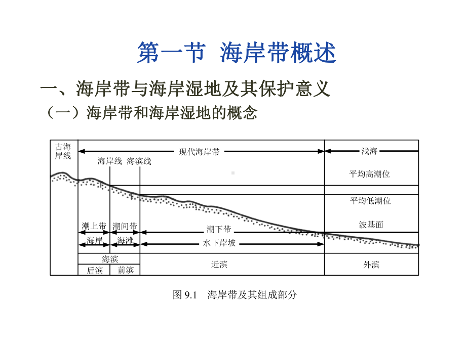 海洋生态学-Chapter-009-海岸带与浅海生态系统(一)综述课件.ppt_第2页