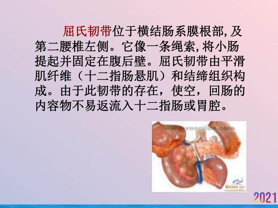 演示文稿上消化道出血课件.ppt_第2页