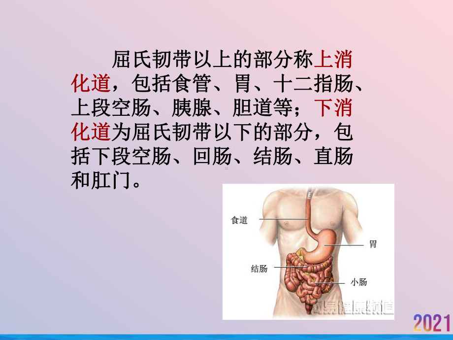 演示文稿上消化道出血课件.ppt_第3页