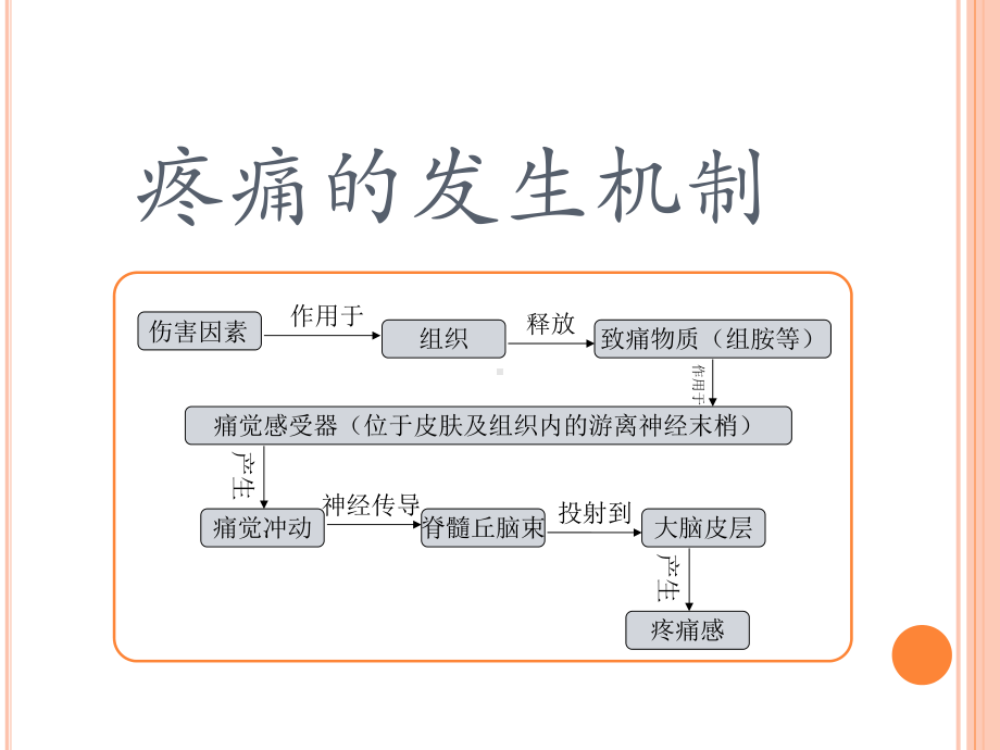 疼痛评定课件.pptx_第3页