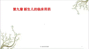 生儿临床用药课件.ppt