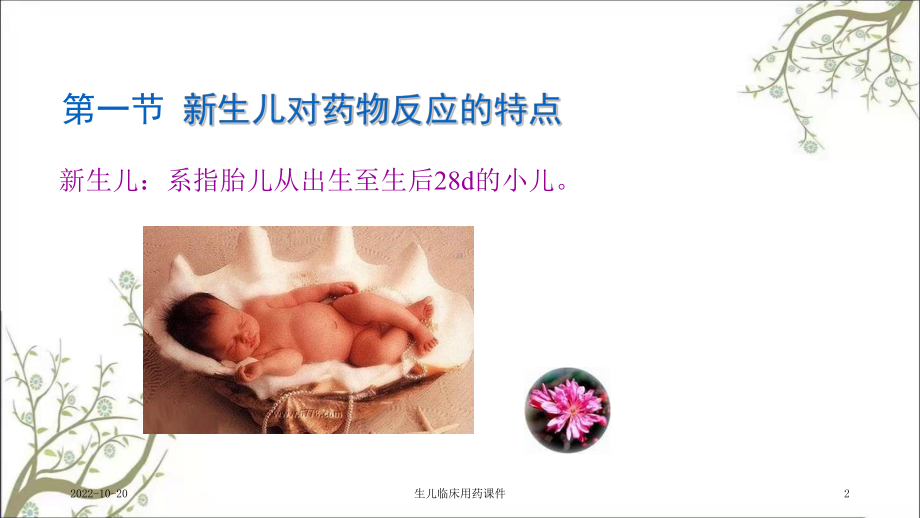 生儿临床用药课件.ppt_第2页