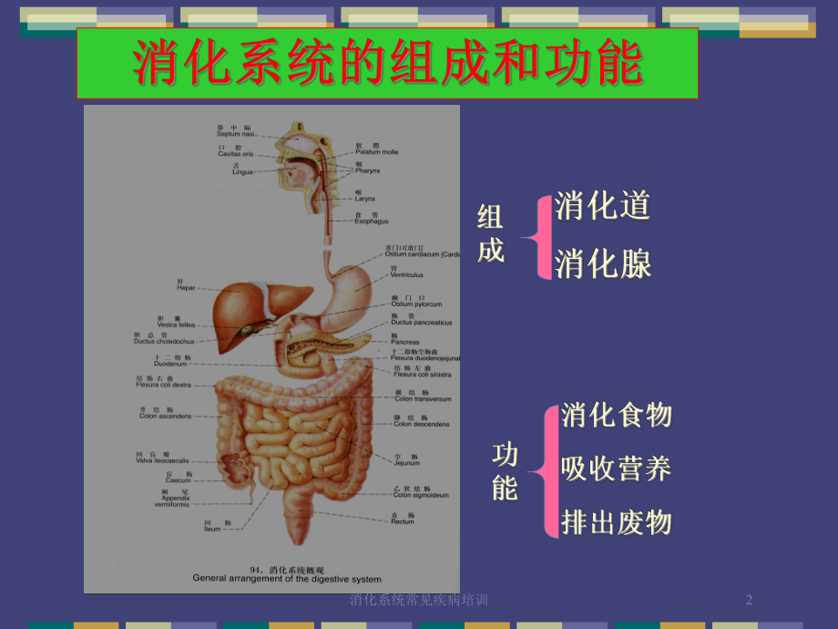 消化系统常见疾病培训培训课件.ppt_第2页