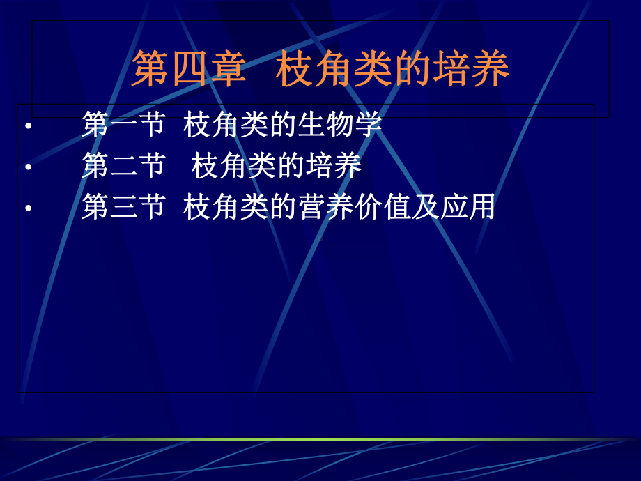 生物饵料课件-第四章枝角类培养008.ppt_第1页