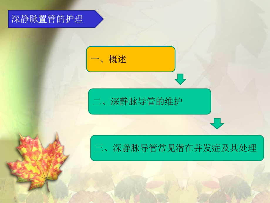 深静脉置管的护理2-课件.ppt_第2页