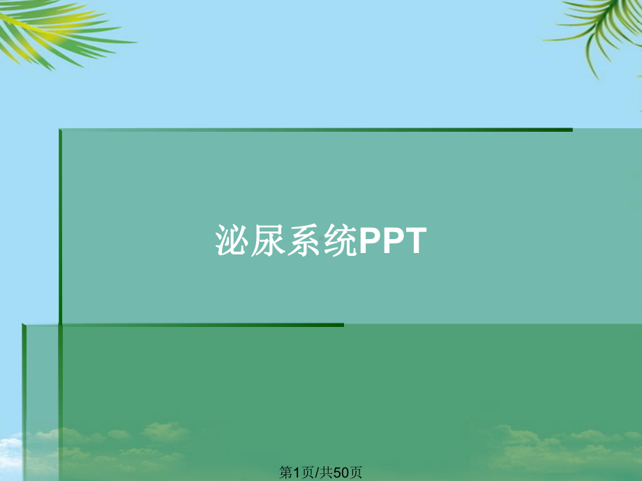 泌尿系统全面版课件.pptx_第1页