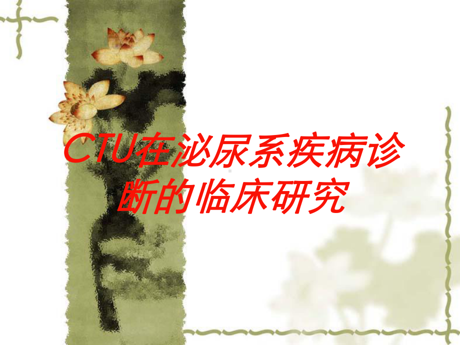 CTU在泌尿系疾病诊断的临床研究培训课件.ppt_第1页