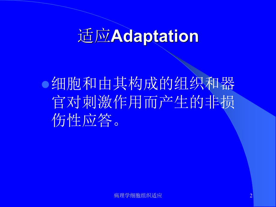 病理学细胞组织适应课件.ppt_第2页