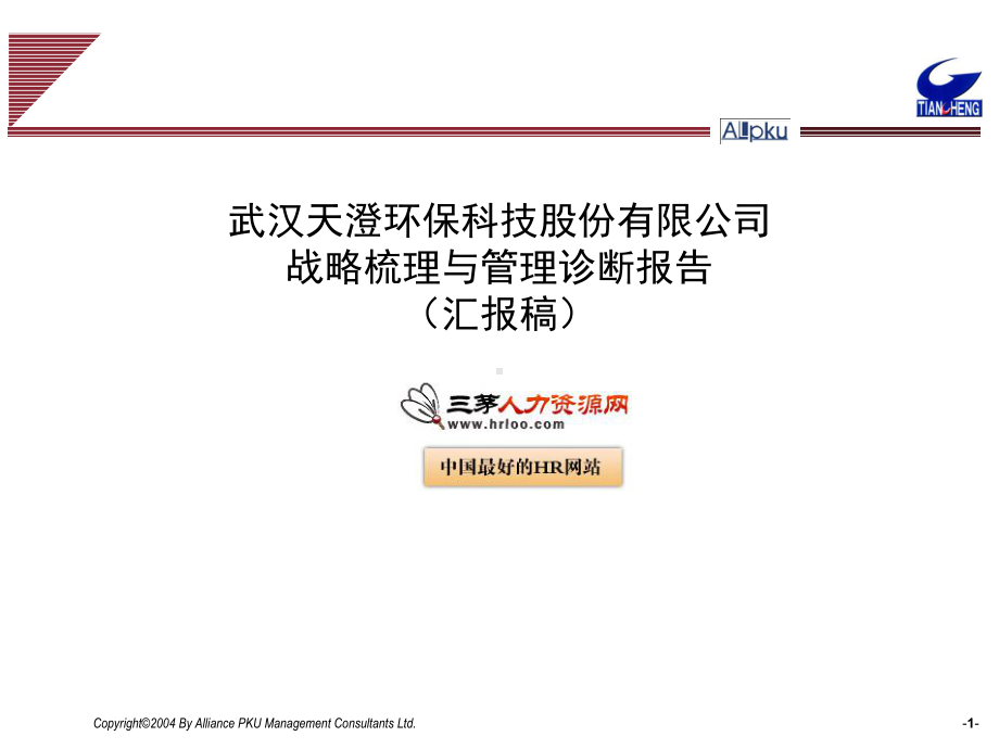 环保公司战略梳理与管理诊断报告课件.ppt_第1页