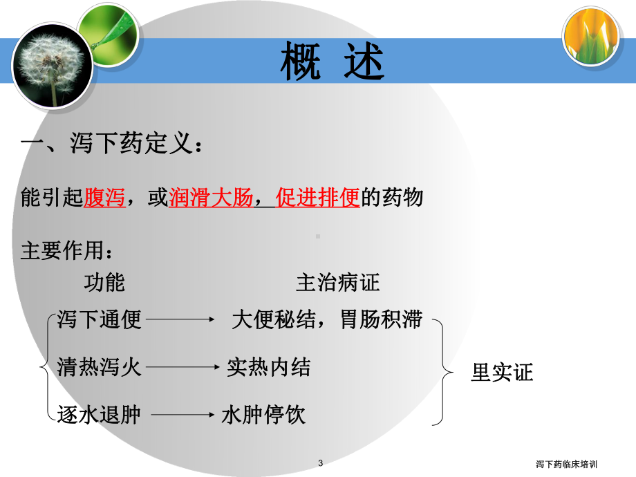 泻下药临床培训培训课件.ppt_第3页