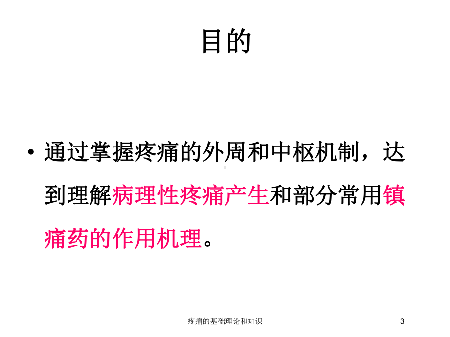 疼痛的基础理论和知识培训课件.ppt_第3页