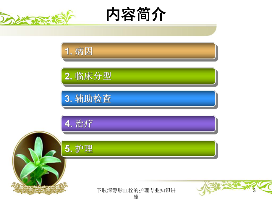 下肢深静脉血栓的护理专业知识讲座培训课件.ppt_第3页