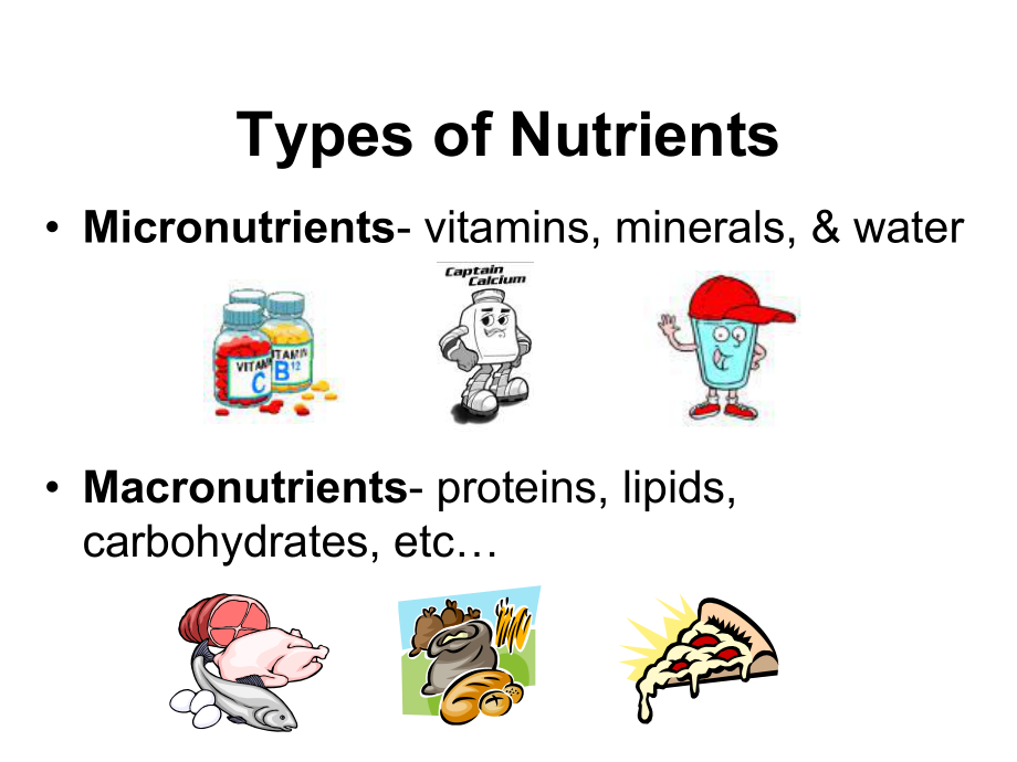 消化系统英文名称TheDigestiveSystem课件.ppt_第3页