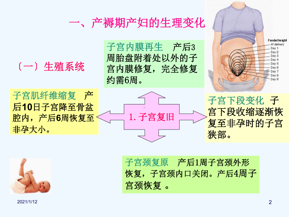 正常产褥期产妇的护理课件.ppt_第2页