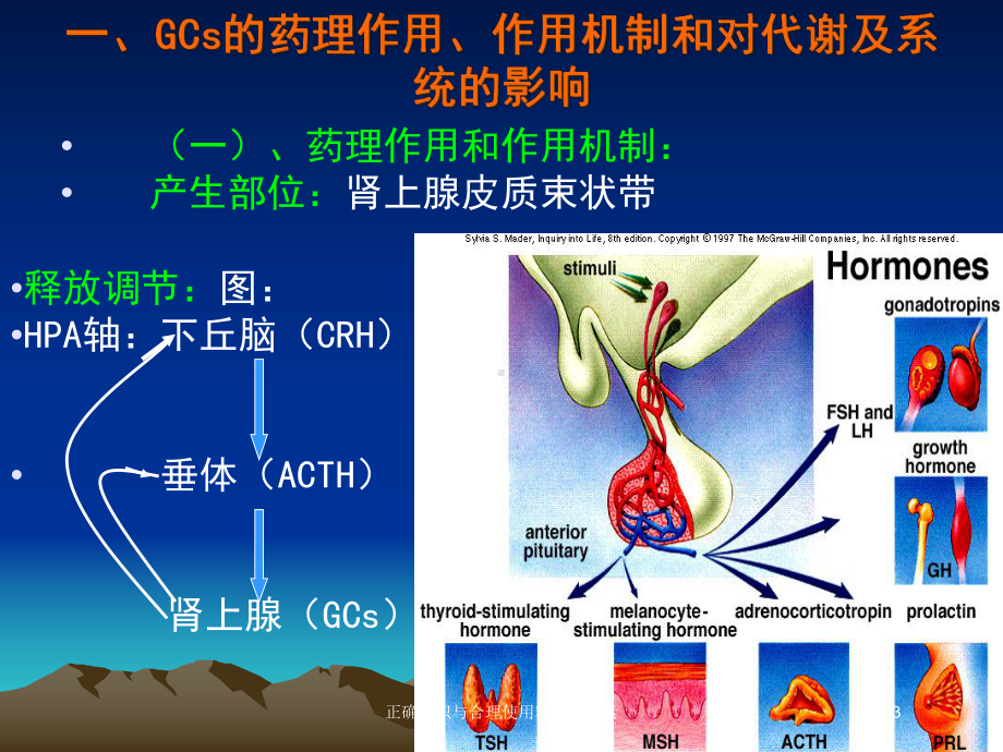 正确认识与合理使用糖皮质激素培训课件.ppt_第3页